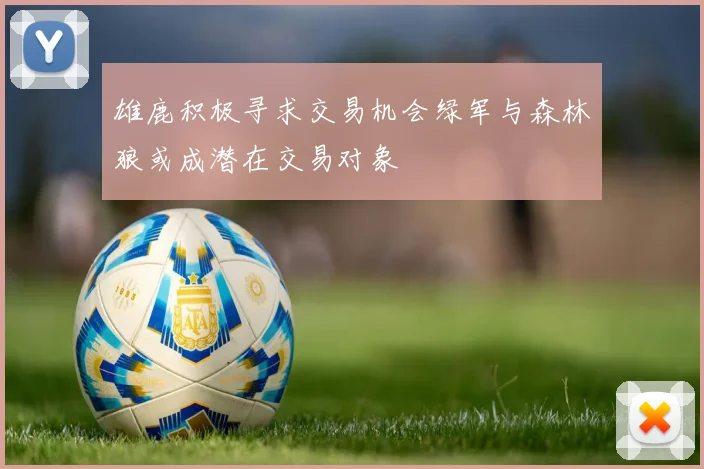 雄鹿积极寻求交易机会绿军与森林狼或成潜在交易对象
